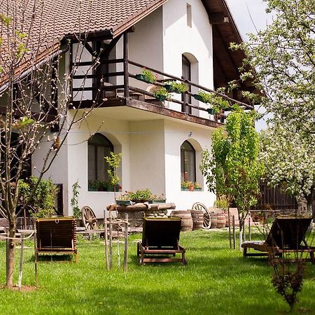 Casa Mosului - Transfagarasan Bed & Breakfast Cîrţişoara Eksteriør bilde