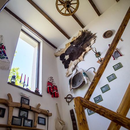 Casa Mosului - Transfagarasan Bed & Breakfast Cîrţişoara Eksteriør bilde