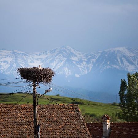 Casa Mosului - Transfagarasan Bed & Breakfast Cîrţişoara Eksteriør bilde