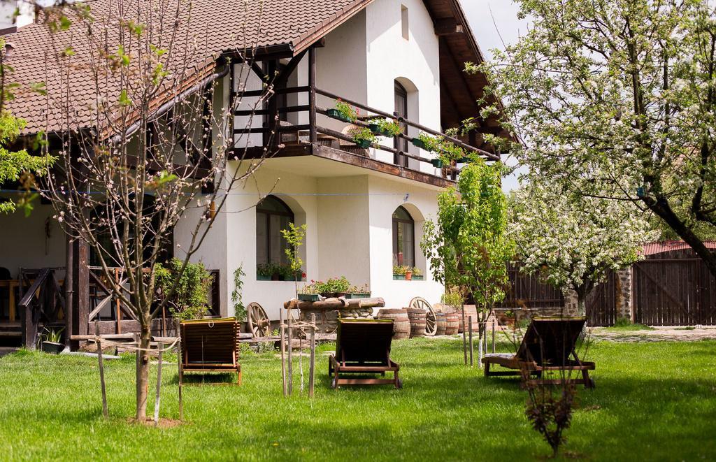 Casa Mosului - Transfagarasan Bed & Breakfast Cîrţişoara Eksteriør bilde