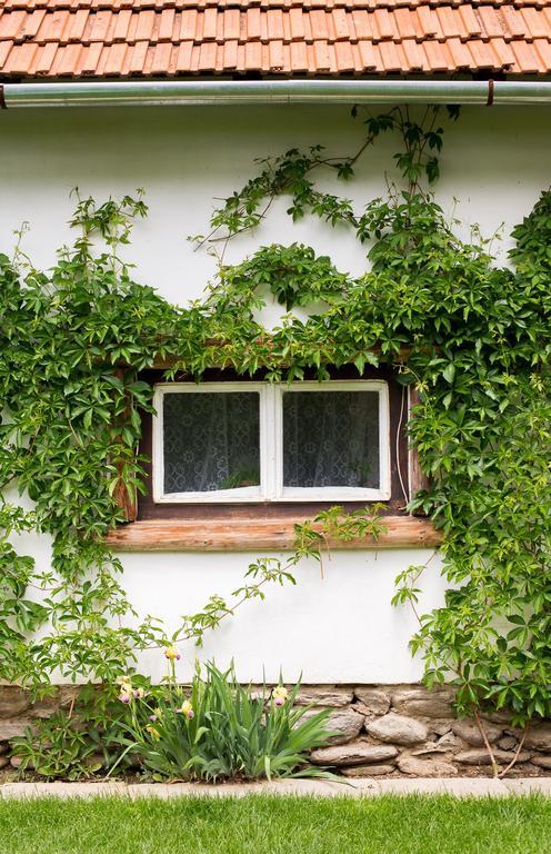 Casa Mosului - Transfagarasan Bed & Breakfast Cîrţişoara Eksteriør bilde