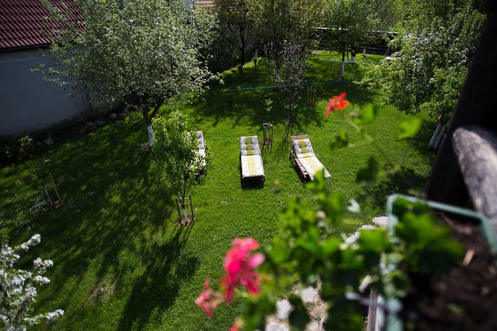 Casa Mosului - Transfagarasan Bed & Breakfast Cîrţişoara Eksteriør bilde