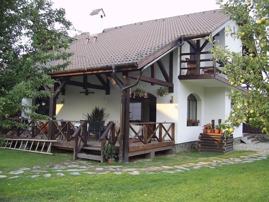 Casa Mosului - Transfagarasan Bed & Breakfast Cîrţişoara Eksteriør bilde