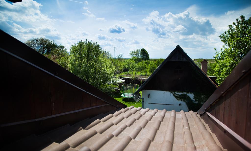 Casa Mosului - Transfagarasan Bed & Breakfast Cîrţişoara Eksteriør bilde