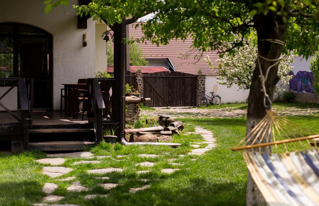 Casa Mosului - Transfagarasan Bed & Breakfast Cîrţişoara Eksteriør bilde