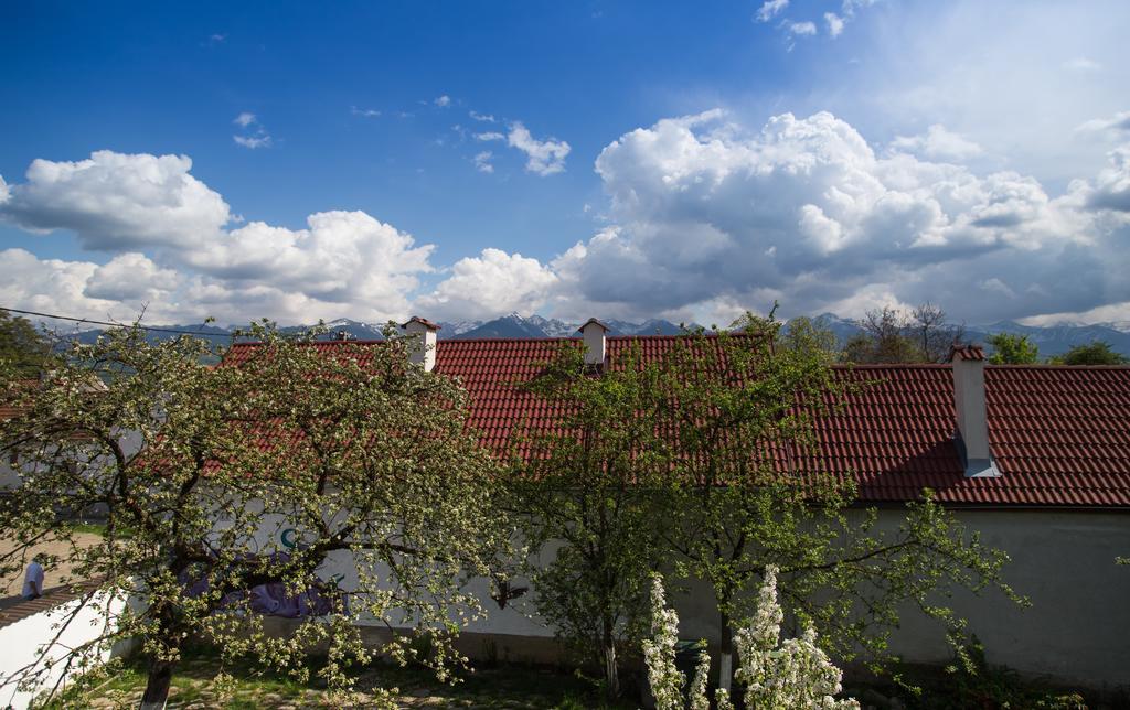 Casa Mosului - Transfagarasan Bed & Breakfast Cîrţişoara Eksteriør bilde