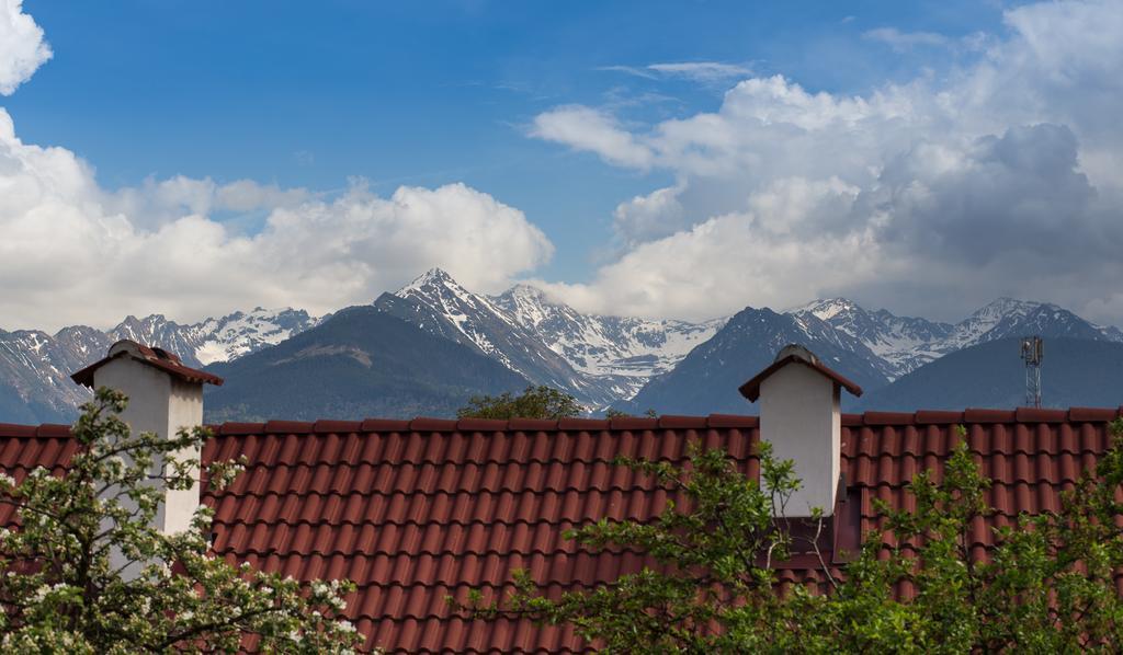 Casa Mosului - Transfagarasan Bed & Breakfast Cîrţişoara Eksteriør bilde