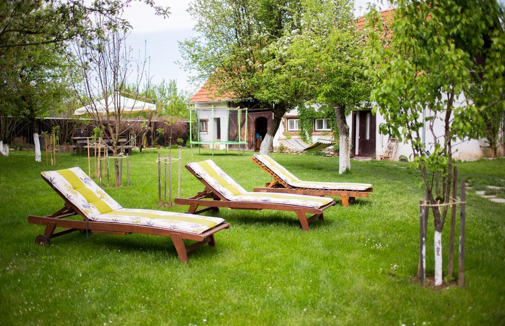 Casa Mosului - Transfagarasan Bed & Breakfast Cîrţişoara Eksteriør bilde