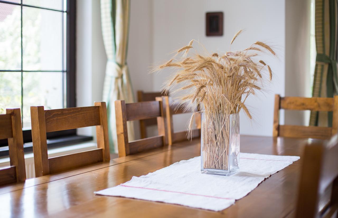 Casa Mosului - Transfagarasan Bed & Breakfast Cîrţişoara Eksteriør bilde