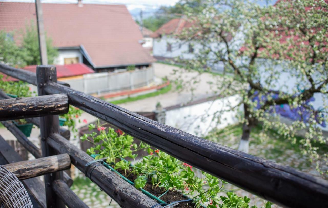 Casa Mosului - Transfagarasan Bed & Breakfast Cîrţişoara Eksteriør bilde