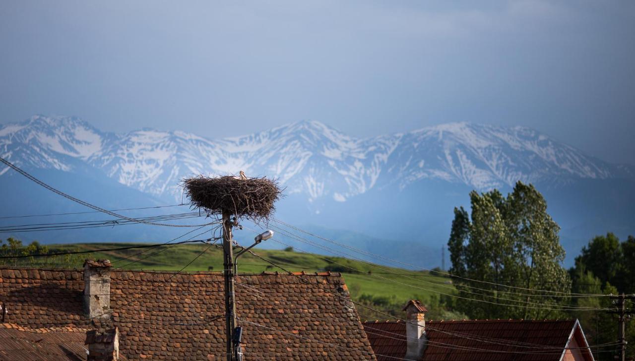 Casa Mosului - Transfagarasan Bed & Breakfast Cîrţişoara Eksteriør bilde